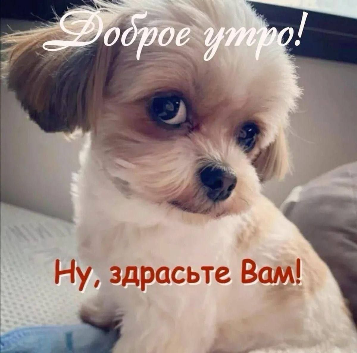 Доброе утро!
Ну, здравствуйте Вам!