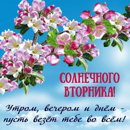 СОЛНЕЧНОГО ВТОРНИКА! Утром, вечером и днём - пусть везёт тебе во всём!