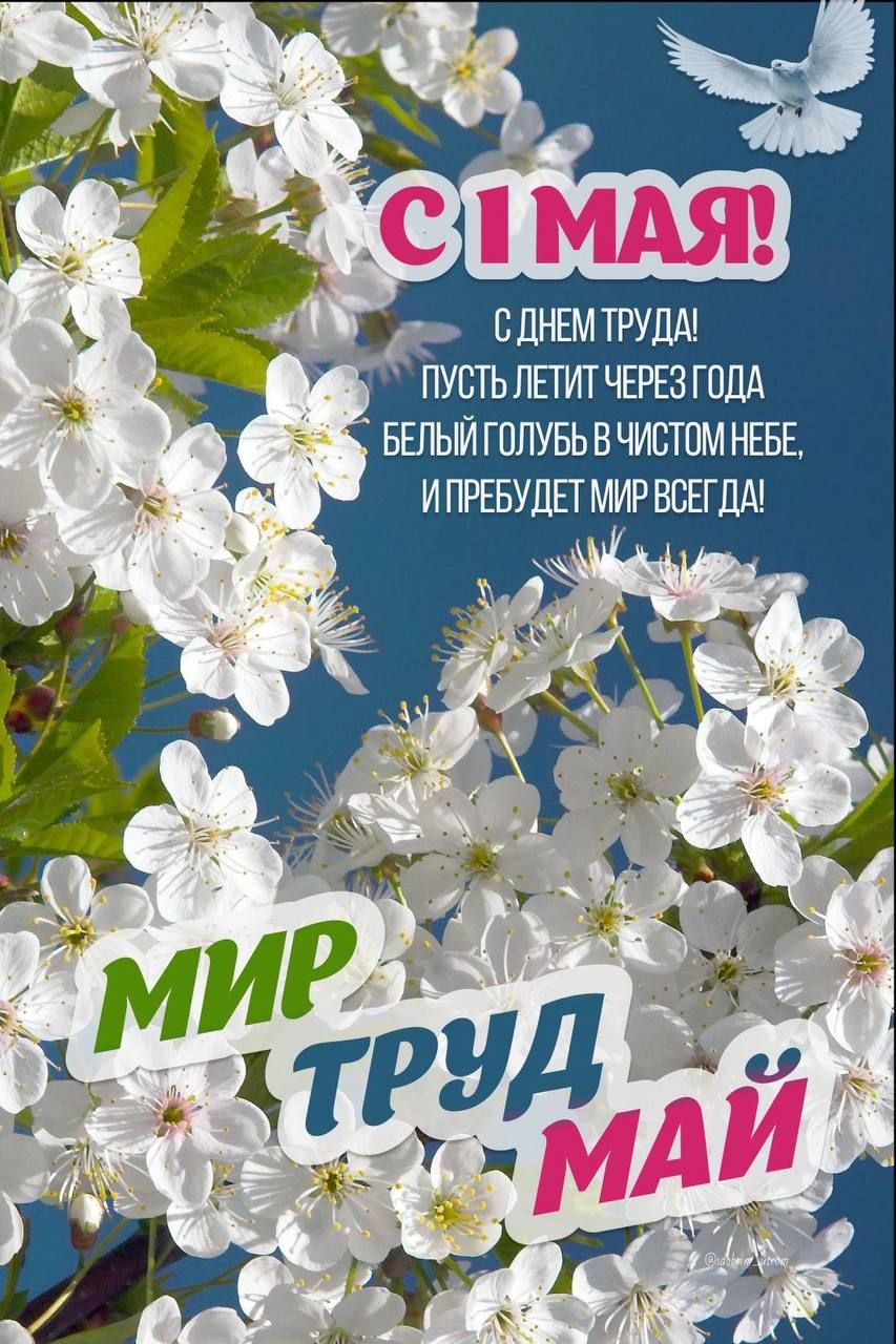 С 1 МАЯ! С ДНЕМ ТРУДА! ПУСТЬ ЛЕТИТ ЧЕРЕЗ ГОДА БЕЛЫЙ ГОЛУБЬ В ЧИСТОМ НЕБЕ, И ПРЕБУДЕТ МИР ВСЕХ ДА! МИР ТРУД МАЙ