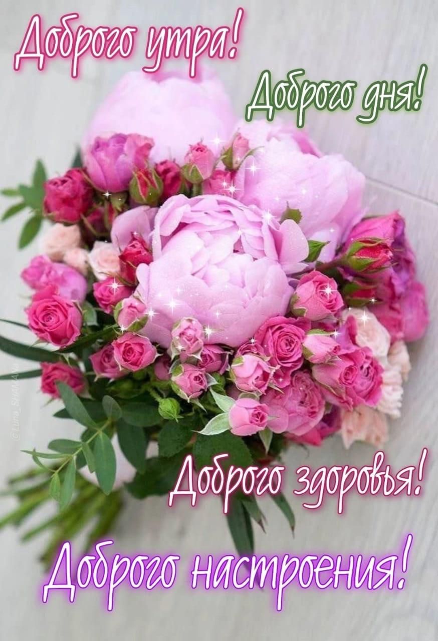 Доброе утро! Доброе дня! Доброе здоровья! Доброе настроения!