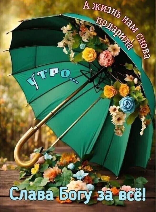 А жизнь нам снова подарила УТРО.. Слава Богу за всё!