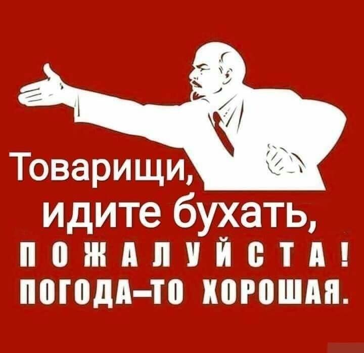 Товарищи, идите бухатить, пожалуйста! Погода-то хорошая.