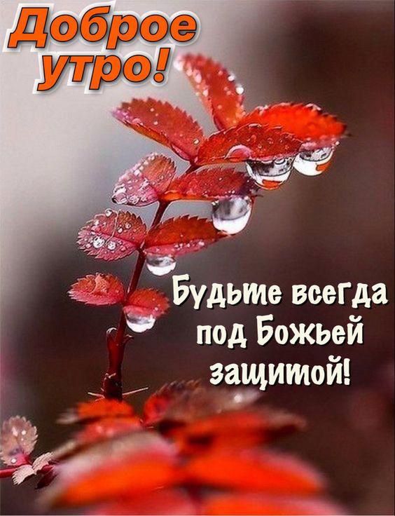 Доброе утро! Будьте всегда под Божьей защитой!