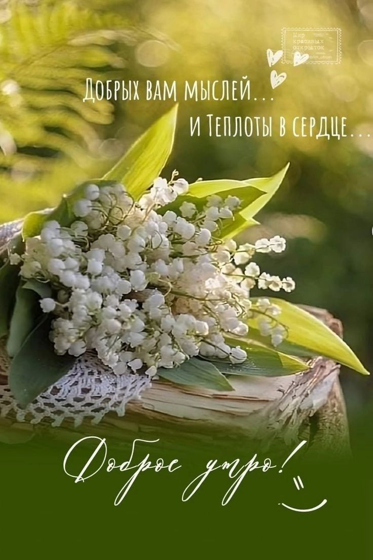Добрых вам мыслей... И Теплоты в сердце... Доброе утро! :)