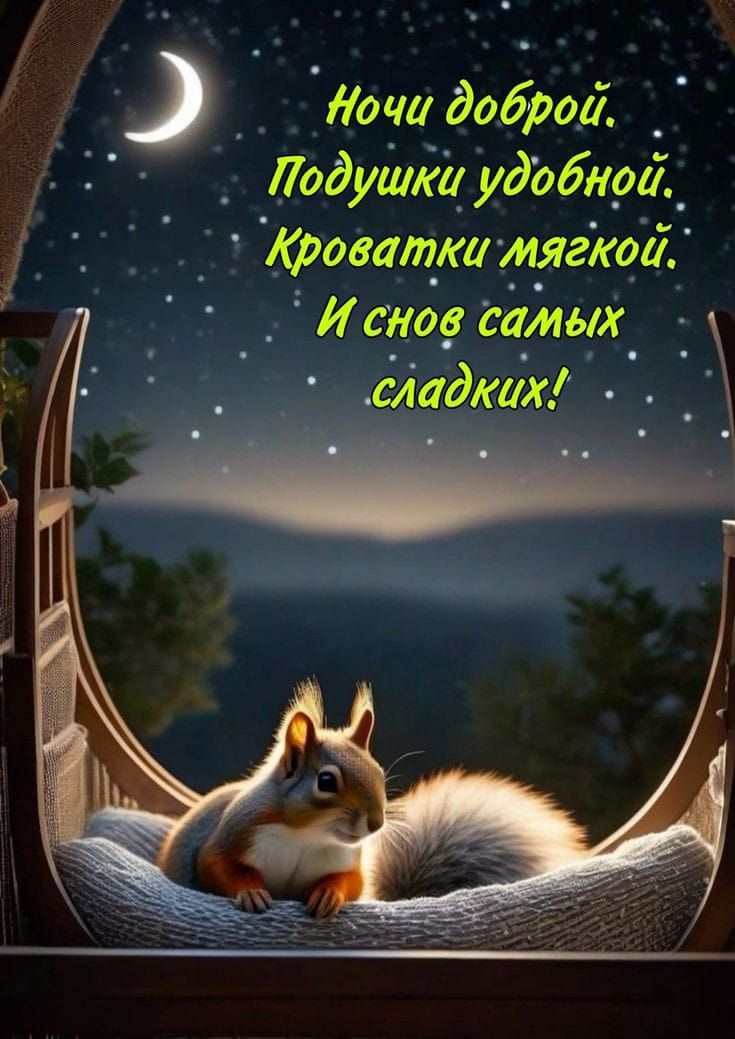 Ночи доброй. Подушки удобной. Кроватки мягкой. И снова самых сладких!