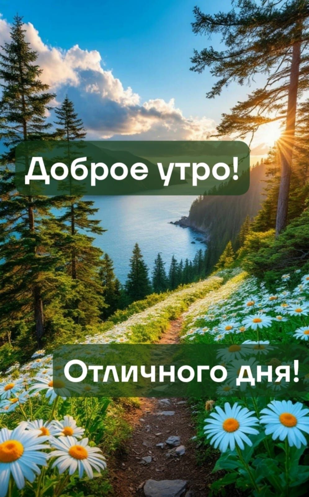 Доброе утро! Отличного дня!