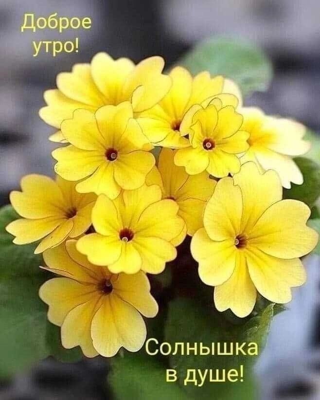 Доброе утро! Солнешка в душе!