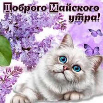 Доброе Майского утра!