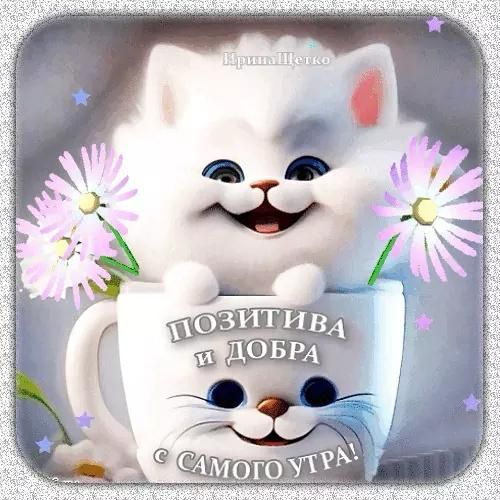 ПОЗИТИВА и ДОБРА С САМОГО УТРА!