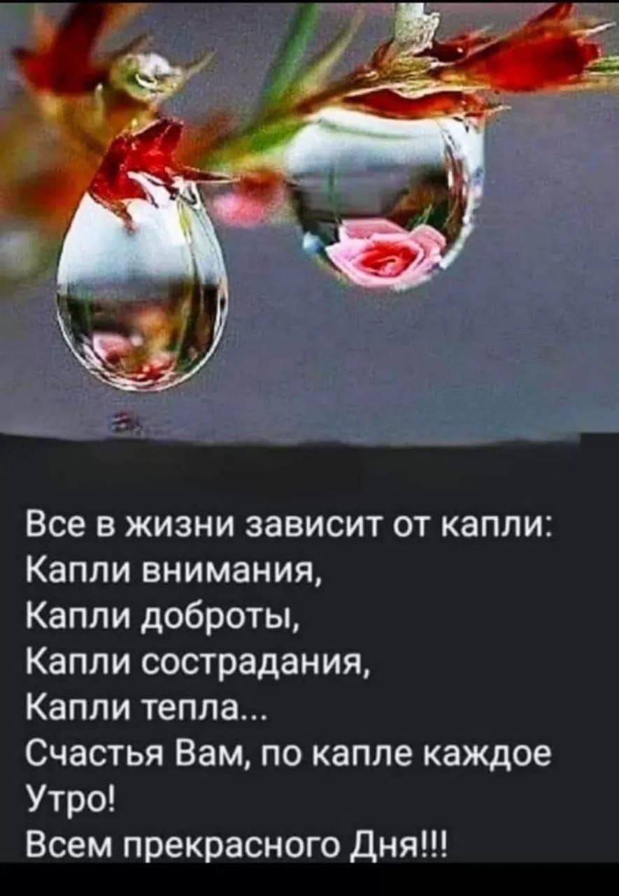Все в жизни зависит от капли: Капли внимания, Капли доброты, Капли сострадания, Капли тепла... Счастья Вам, по капле каждое Утро! Всем прекрасного Дня!!!