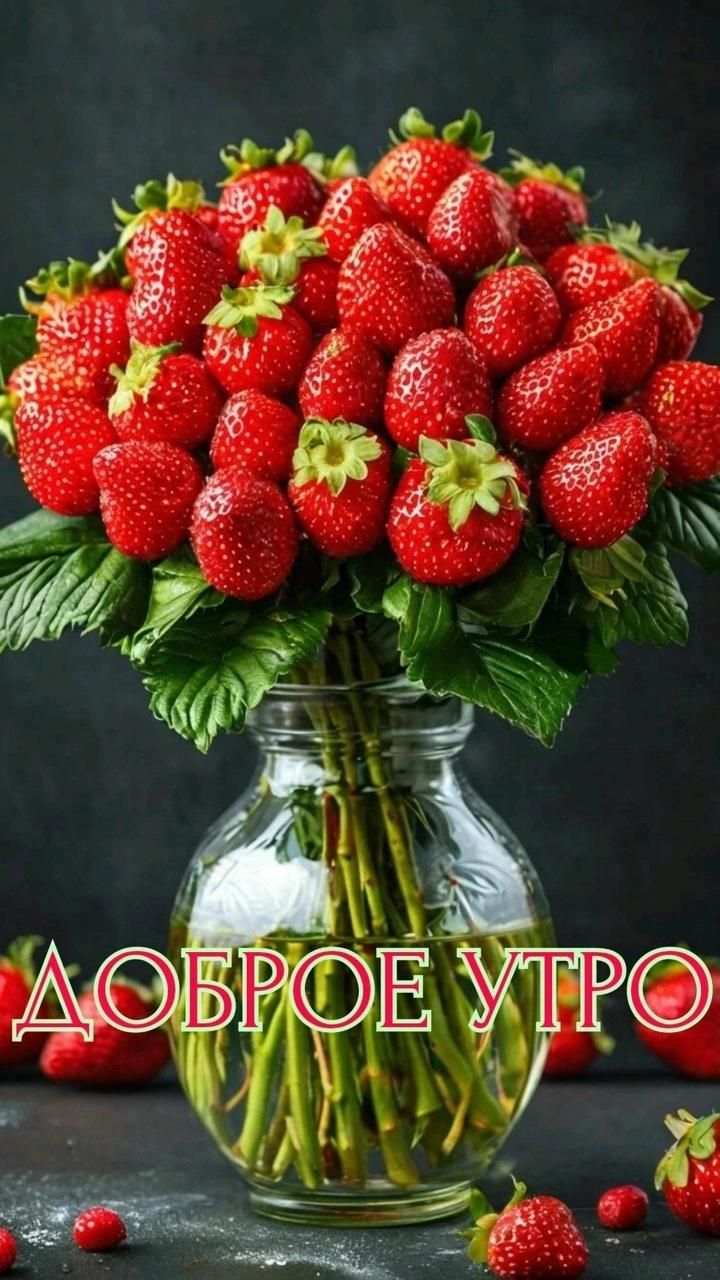 ДОБРОЕ УТРО