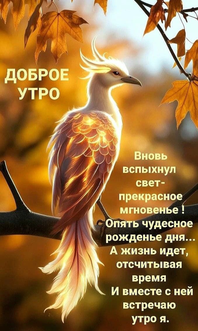 Доброе утро
Вновь вспыхнул свет-прекрасное мгновение! Опять чудесное рождение дня... А жизнь идет, отсчитывая время И вместе с ней встречаю утро я.