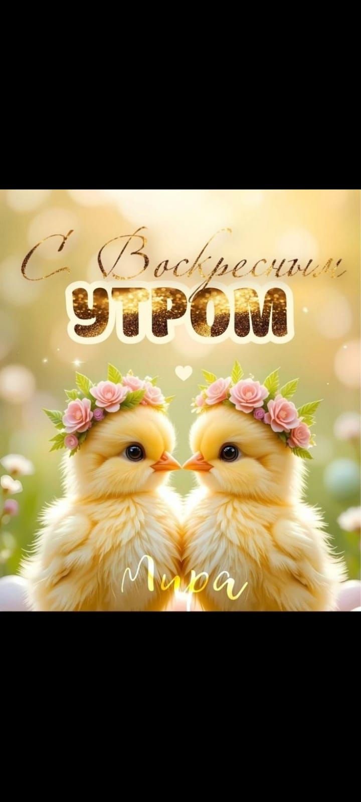 С Воскресным УТРОМ
Мира