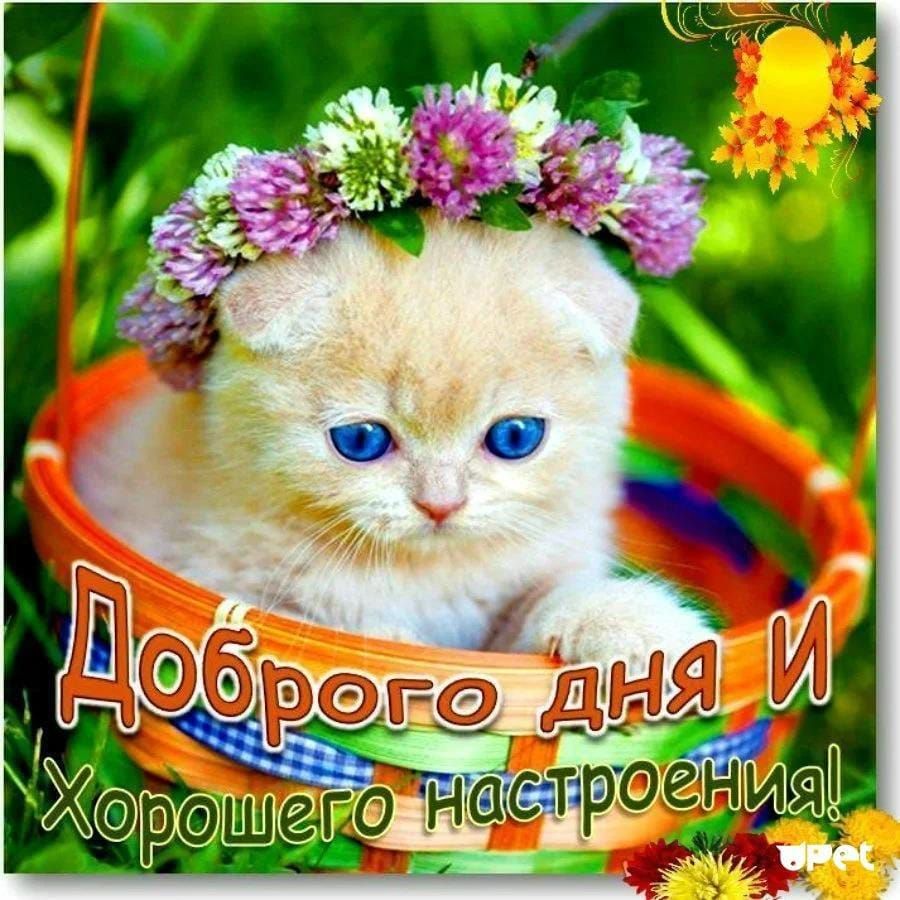 Доброего дня И Хорошего настроения!