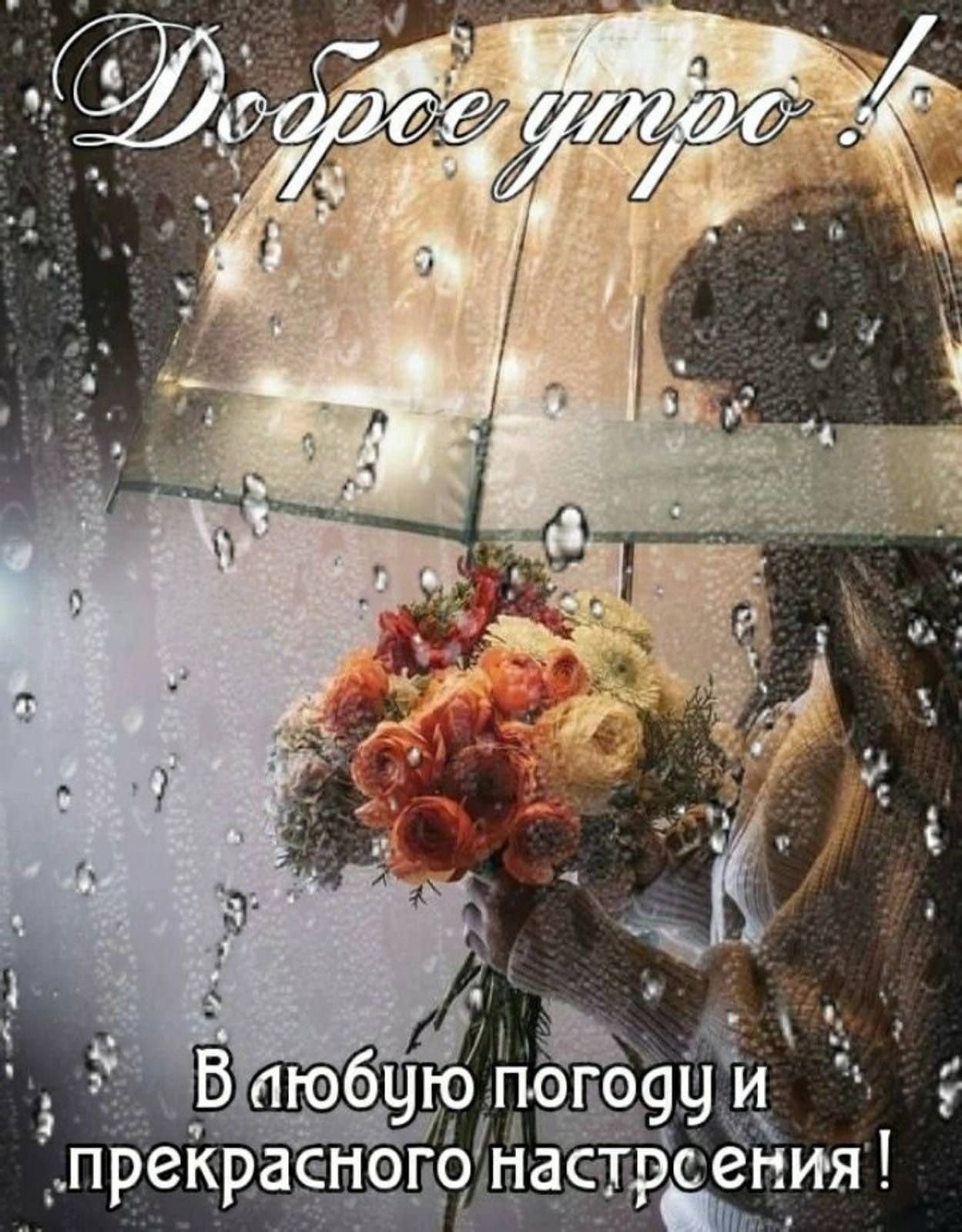 Доброе утро ! В любую погоду и прекрасного настроения !