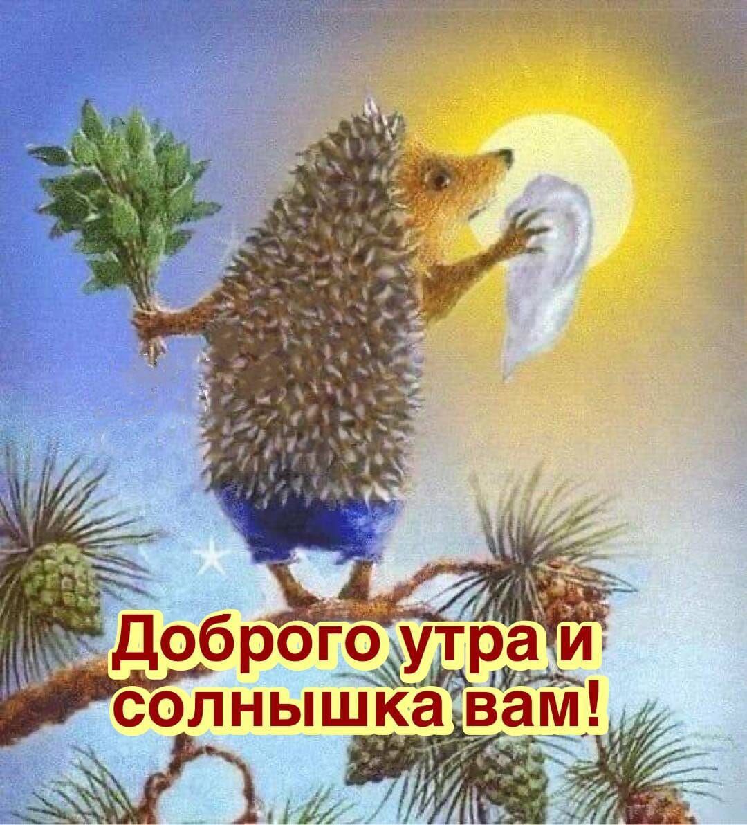 Доброе утро и солнышка вам!