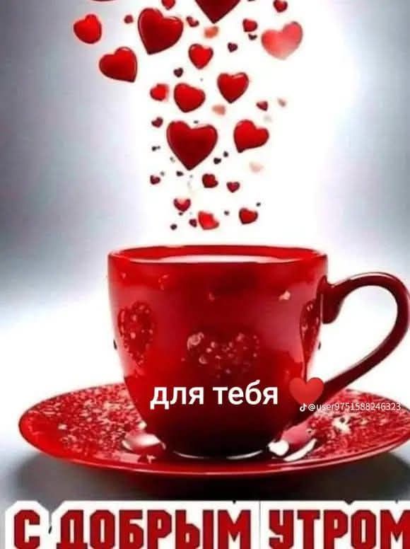 С ДОБРЫМ УТРОМ ДЛЯ ТЕБЯ