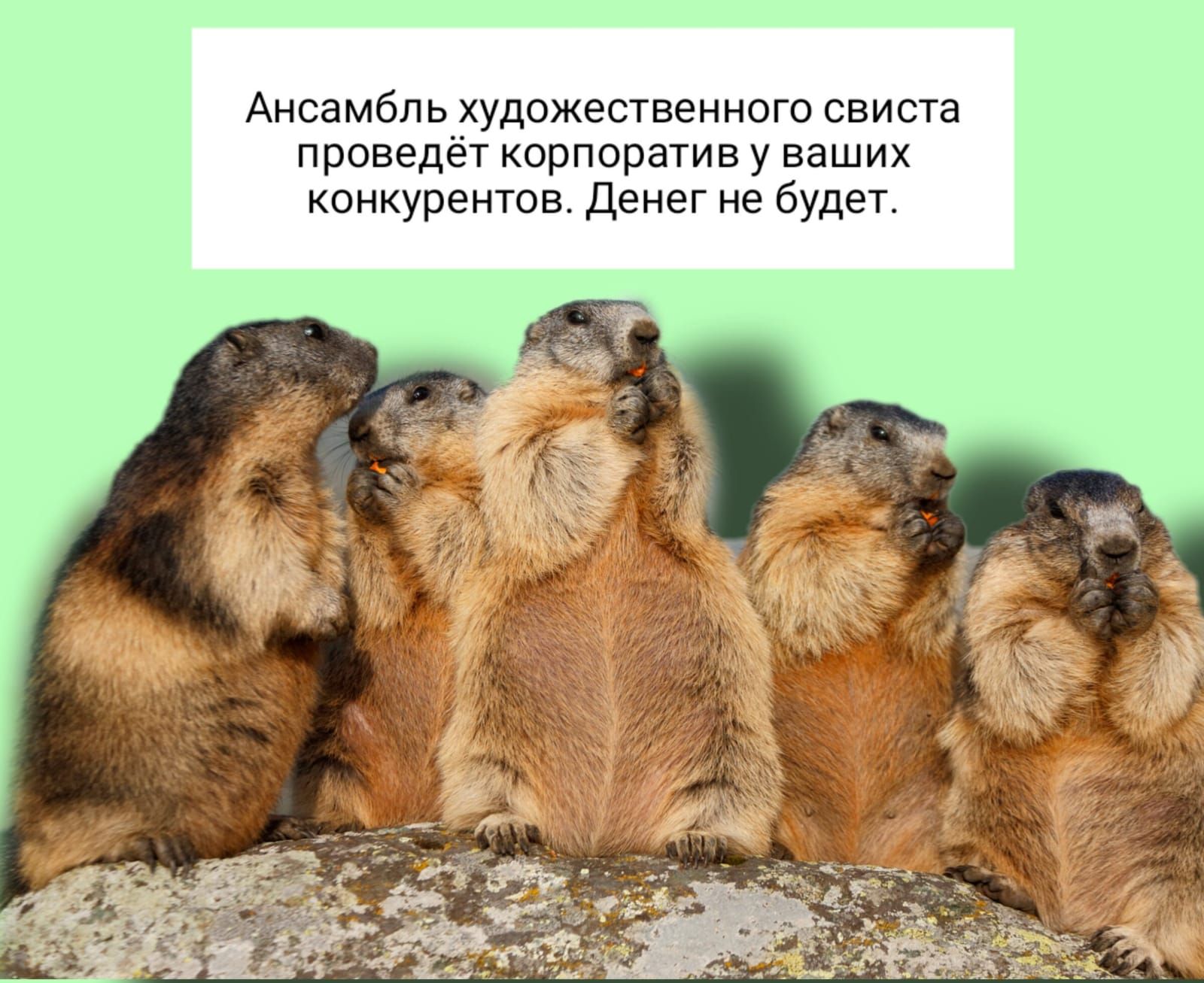 Ансамбль художественного свиста проведёт корпоратив у ваших конкурентов. Денег не будет.