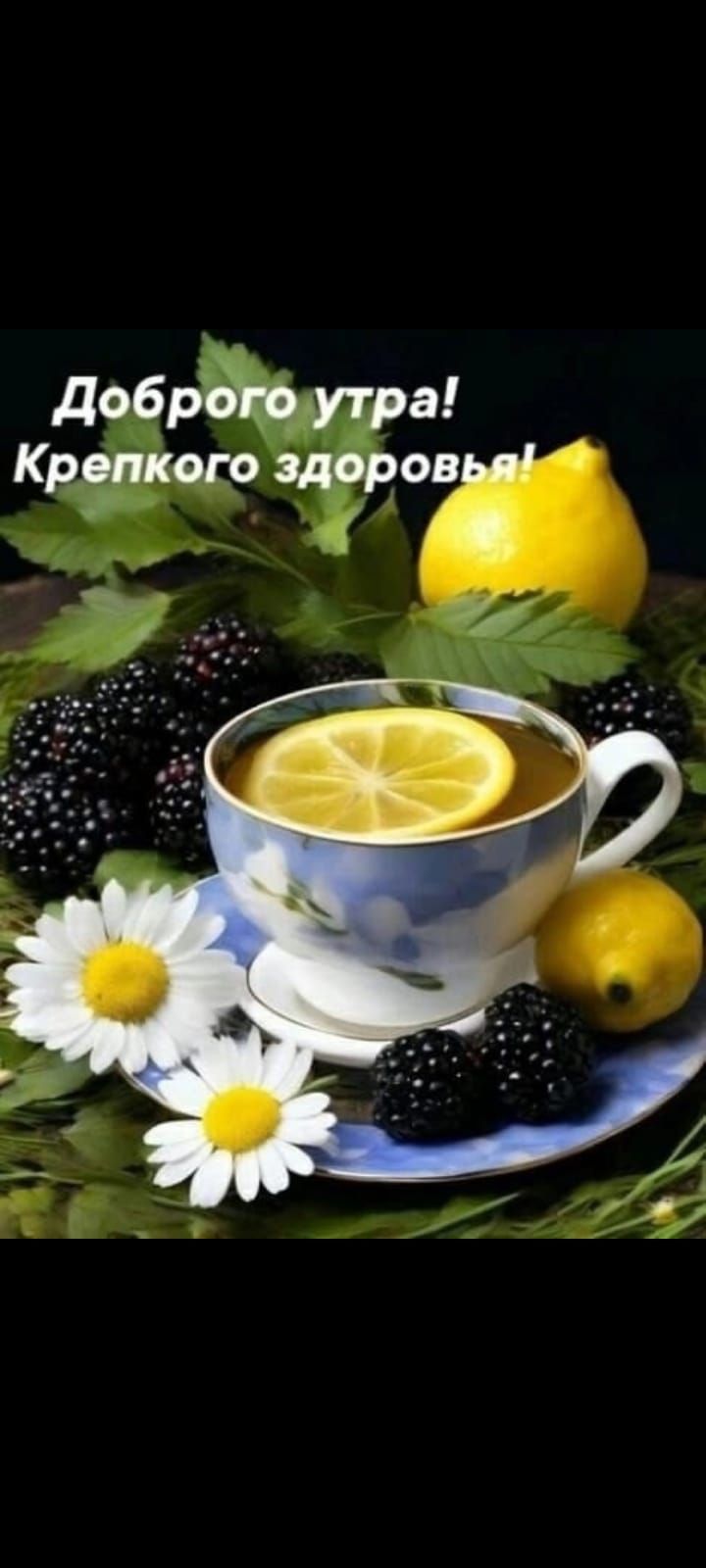 Доброе утро! Крепкого здоровья!