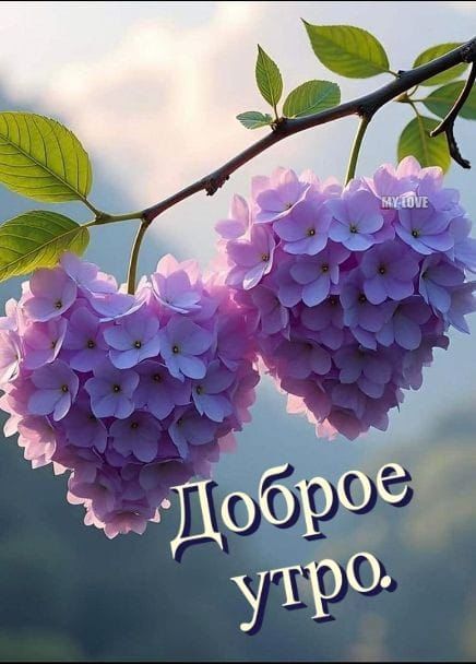 Доброе утро.