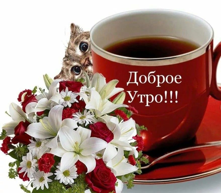 Доброе Утро!!!