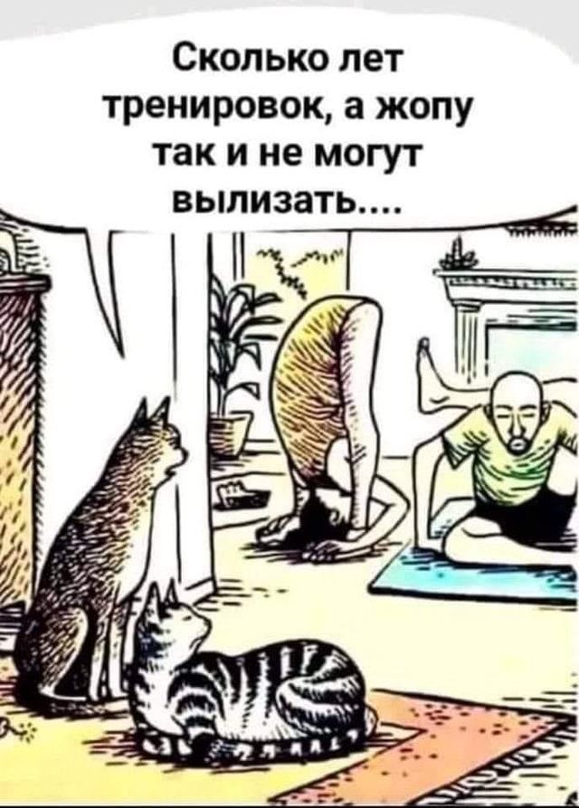 Сколько лет тренировок, а жопу так и не могут вылизать....