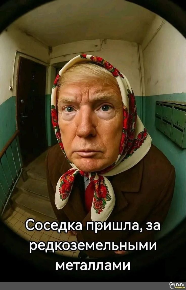 Соседка пришла, за редкоземельными металлами