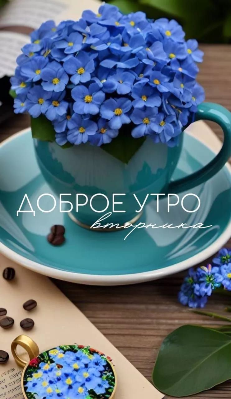ДОБРОЕ УТРО вторника