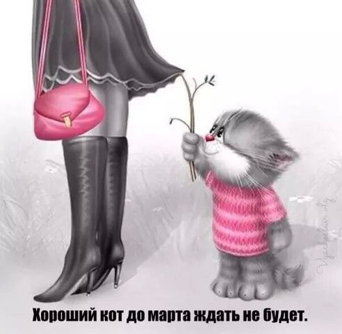 Хороший кот до марта ждать не будет.
