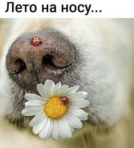 Лето на носу...