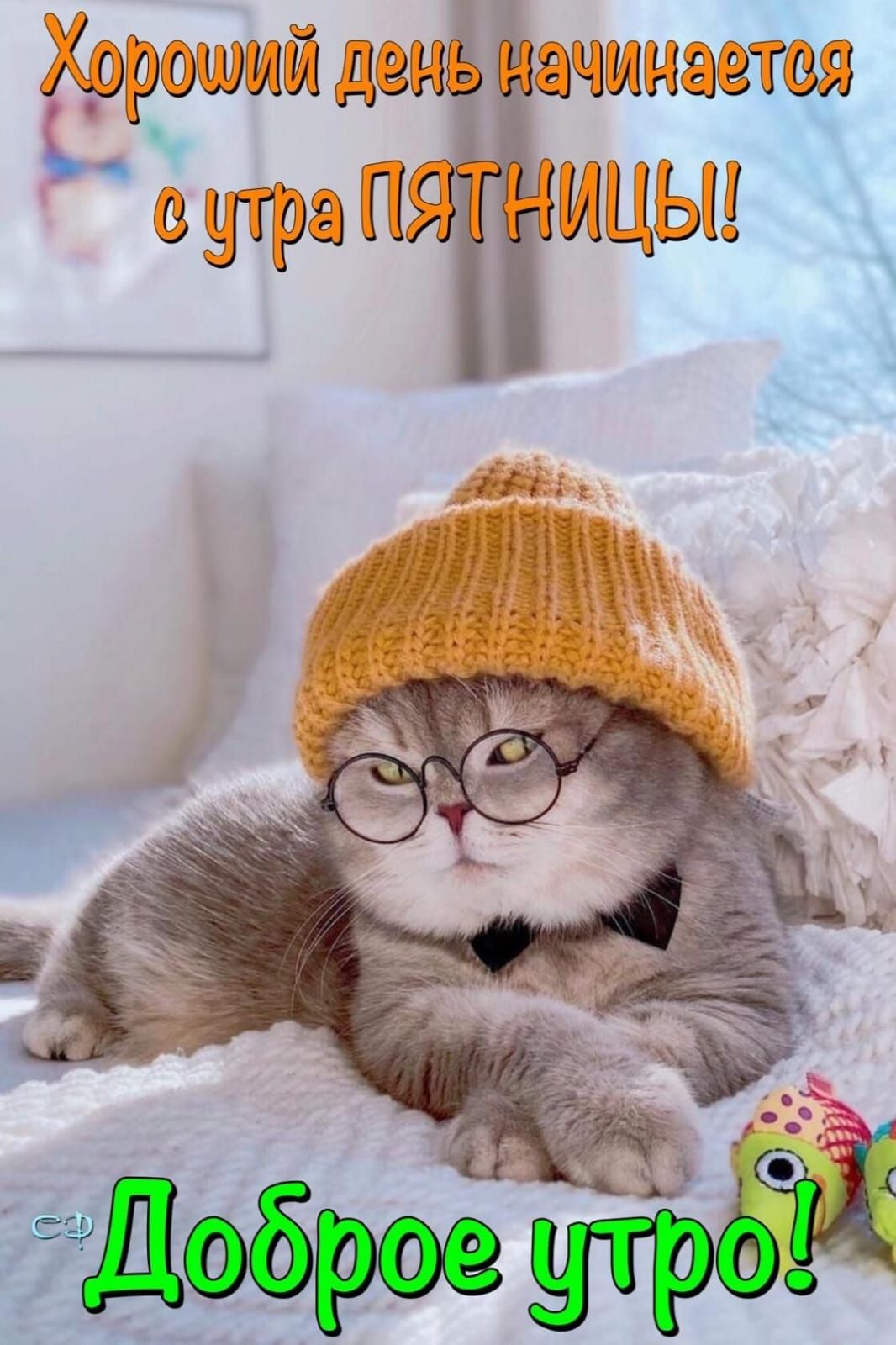 Хороший день начинается с утра ПЯТНИЦЫ!! Доброе утро!