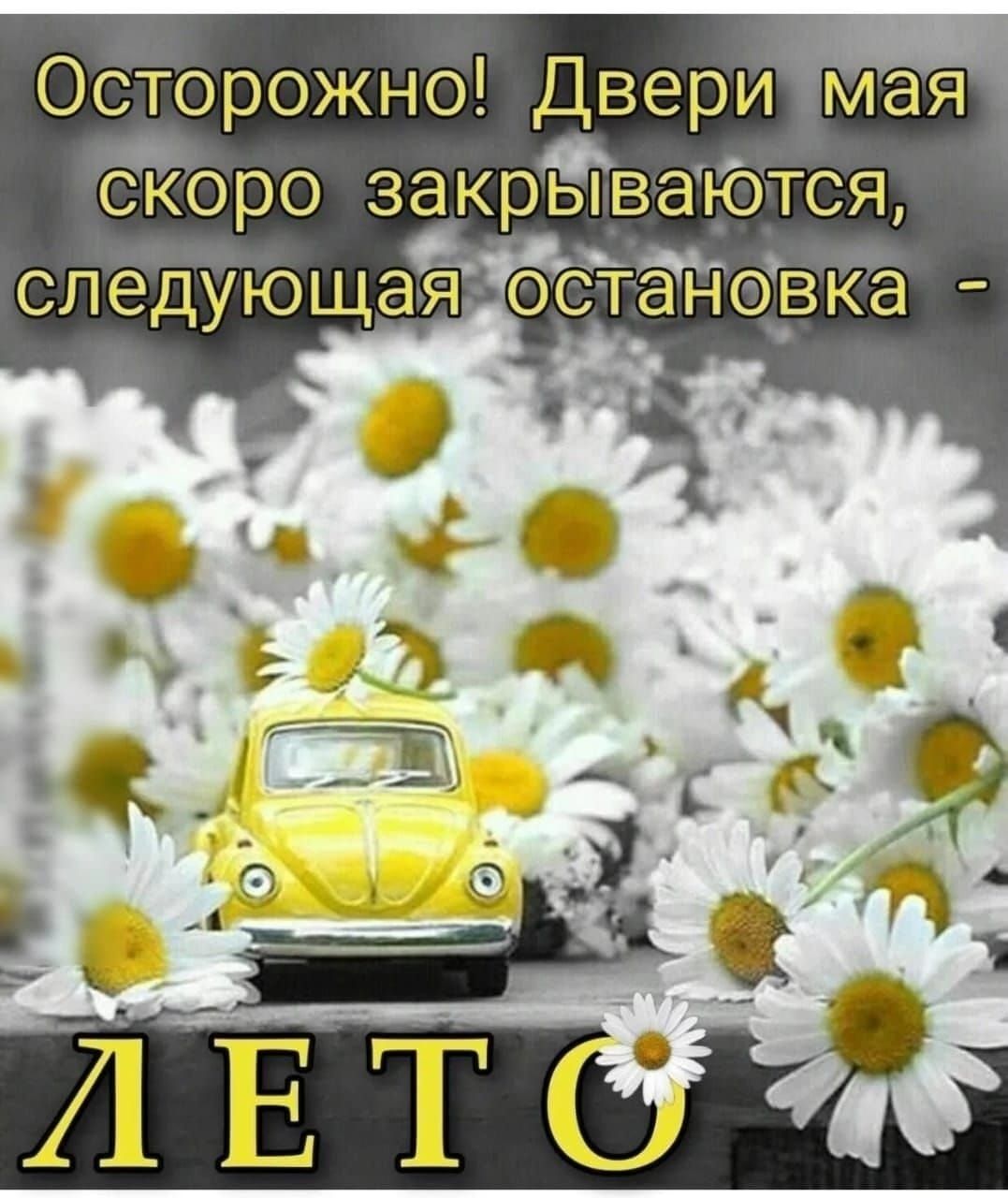 Осторожно! Двери мая скоро закрываются, следующая остановка - ЛЕТО