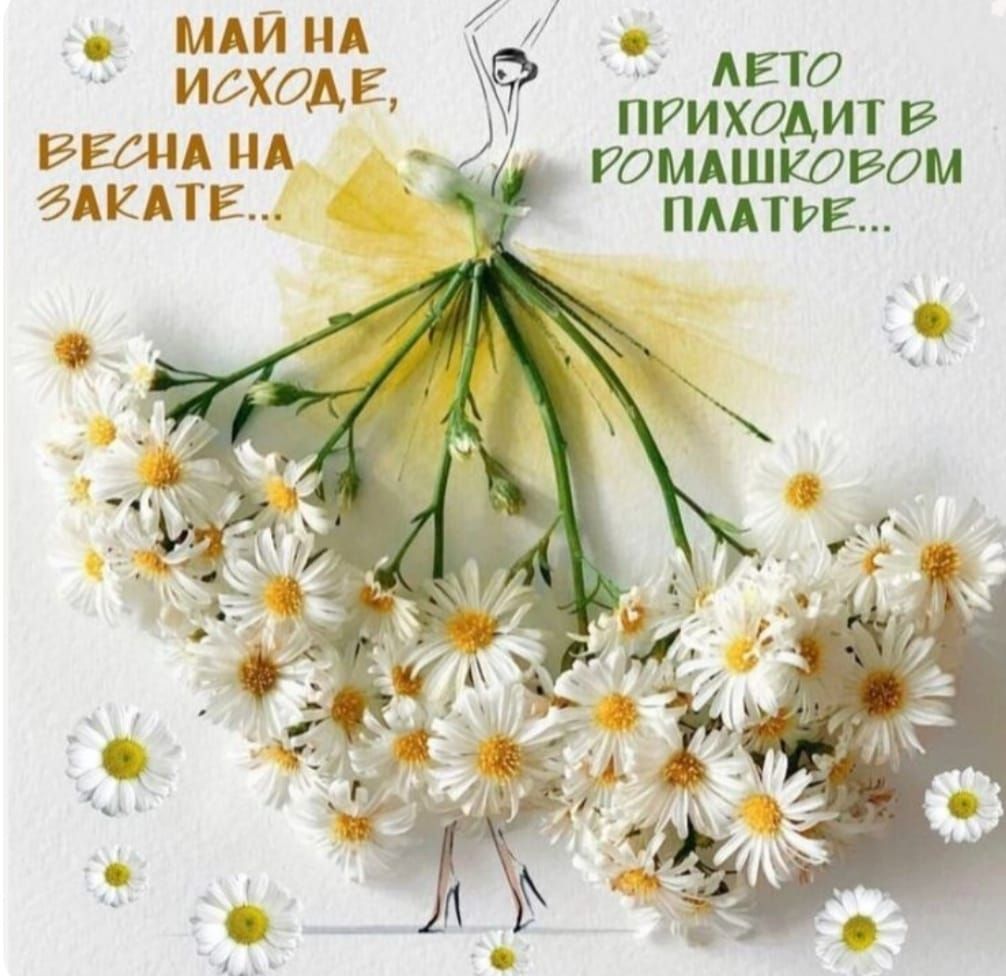 МАЙ НА ИСХОДЕ, ВЕСНА НА ЗАКАТЕ... ЛЕТО ПРИХОДИТ В РОМАШКОВОМ ПЛАТЬЕ...