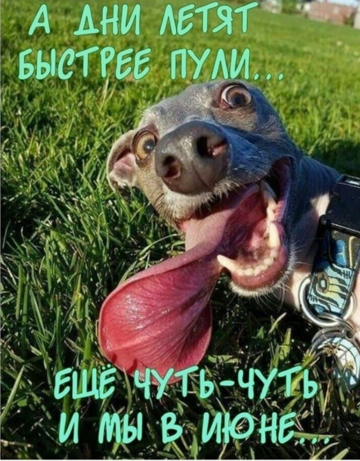 А ДНИ ЛЕТЯТ БЫСТРЕЕ ПУЛИ... ЕЩЕ ЧУТЬ-ЧУТЬ И МЫ В ИЮНЕ...