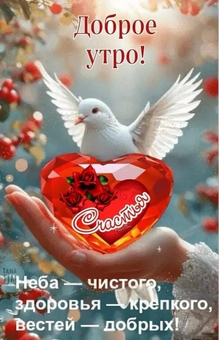Доброе утро!
Неба — чистого,
здоровья — крепкого,
вестей — добрых!