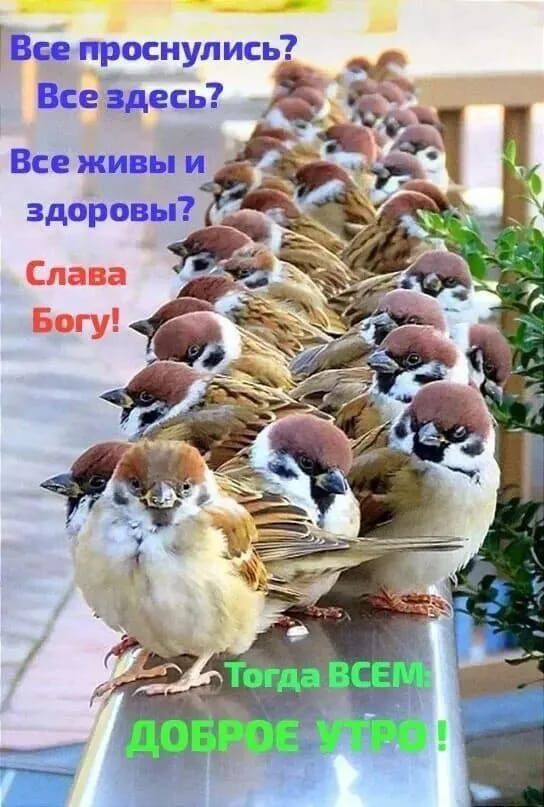 Все проснулись? Все здесь? Все живы и здоровы? Слава Богу! Тогда ВСЕМ: ДОБРОЕ УТРО!