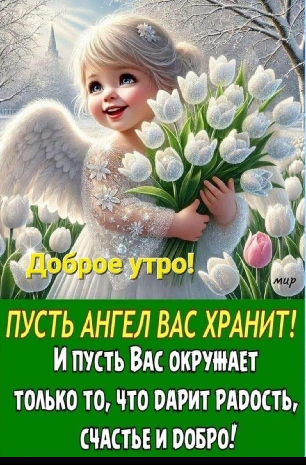 Доброе утро!
ПУСТЬ АНГЕЛ ВАС ХРАНИТ!
И пусть Вас окружает только то, что дарит радость, счастье и добро!