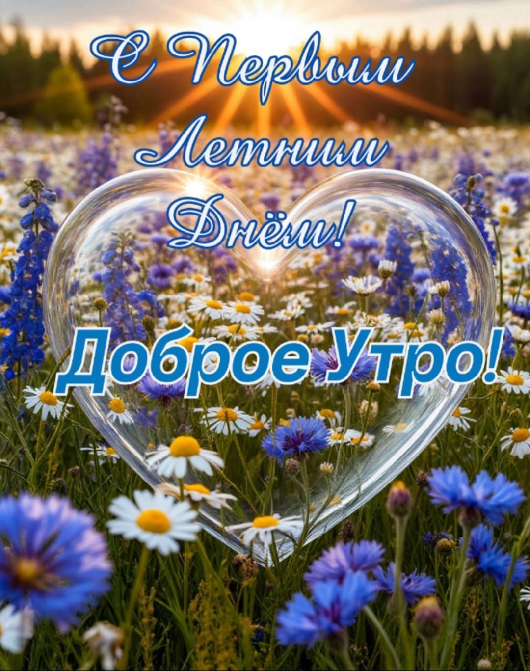 С Первым Летним Днём! Доброе Утро!