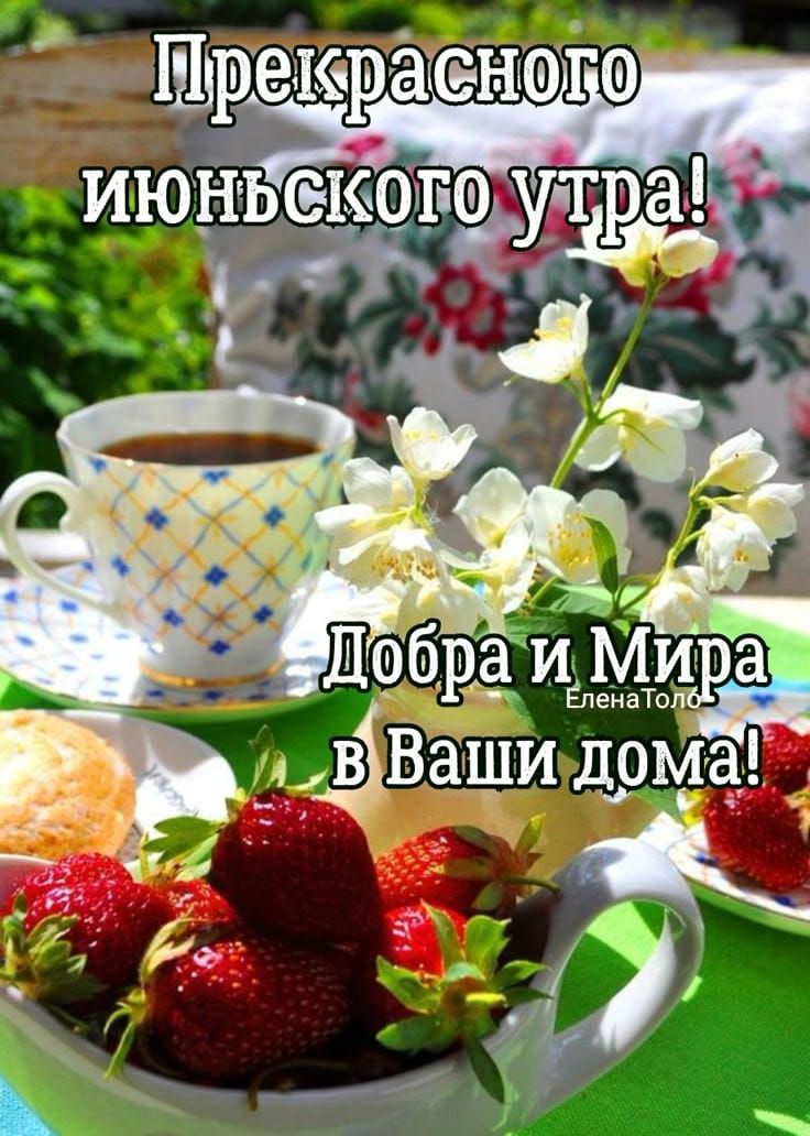 Прекрасного июньского утра! Добра и Мира в Ваши дома!