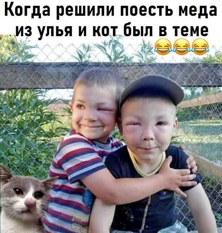 Когда решили поесть меда из улья и кот был в теме 😂😂😂