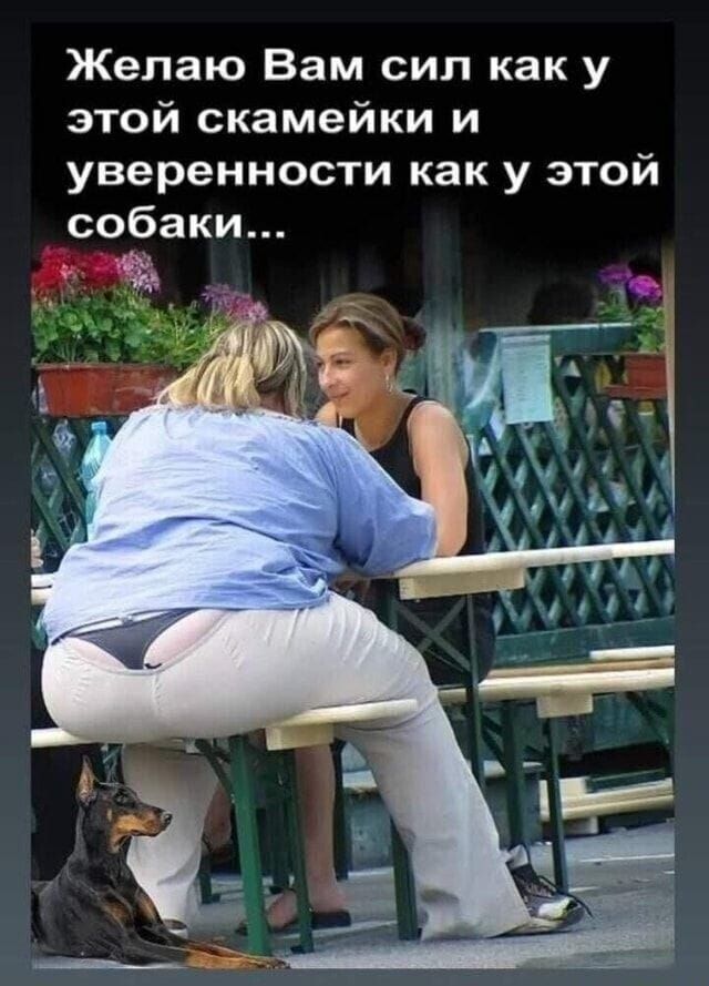 Желаю Вам сил как у этой скамейки и уверенности как у этой собаки...