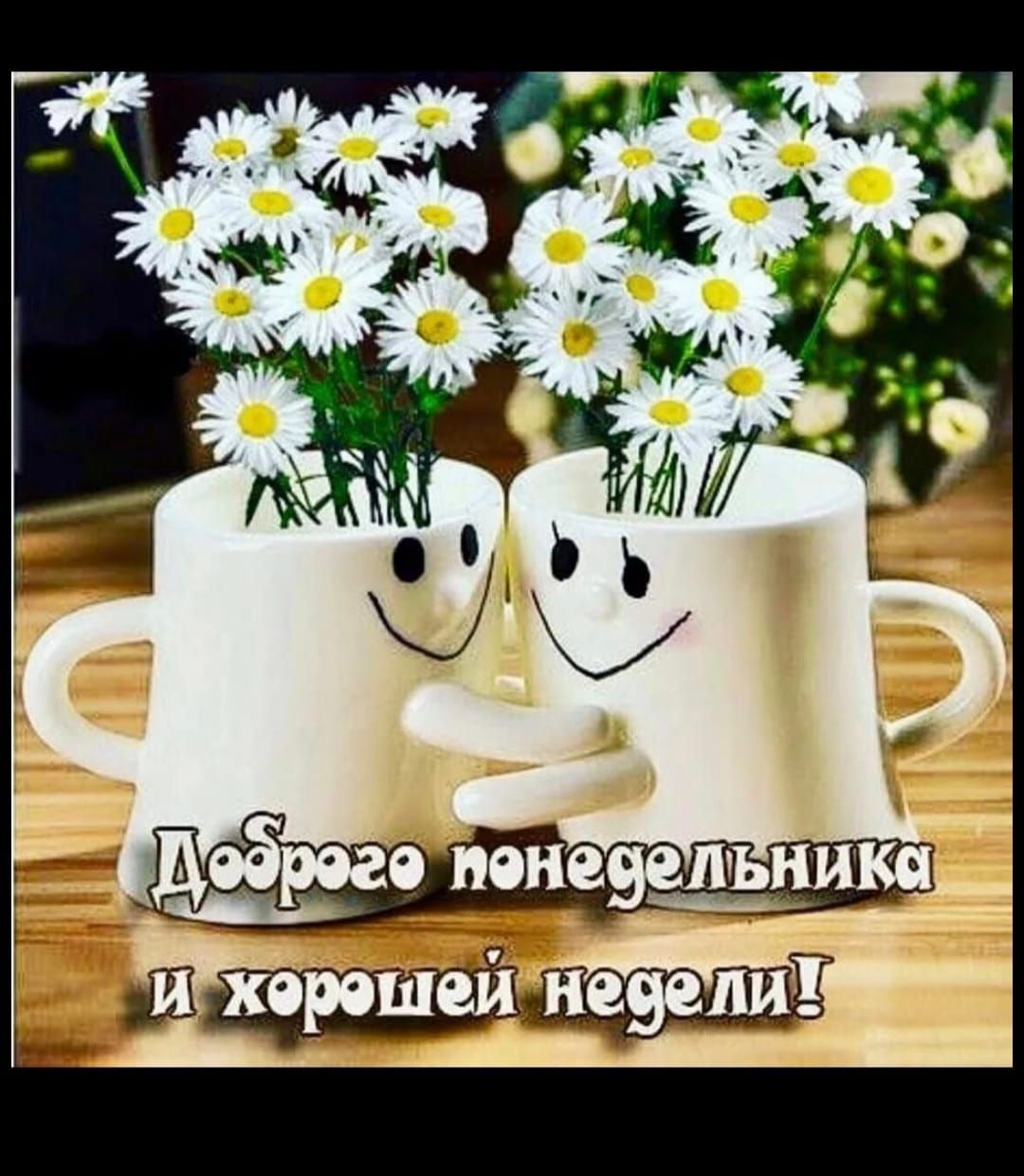 Доброего понедельника и хорошей недели!