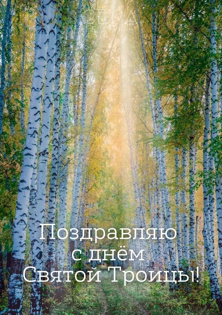 Поздравляю с днём Святой Троицы!