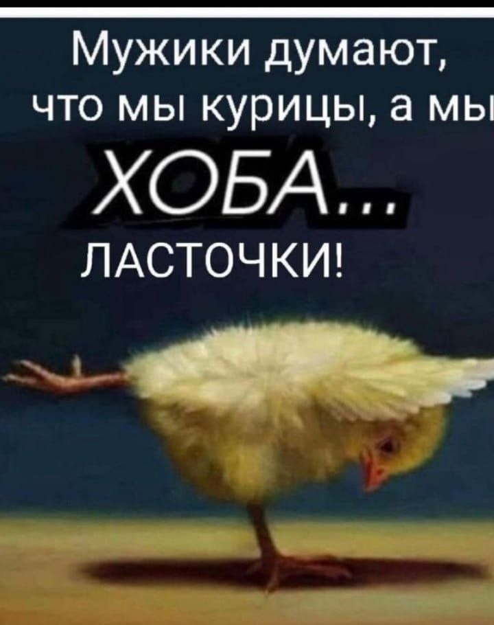 Мужики думают, что мы курицы, а мы ХОБА... ЛАСТОЧКИ!