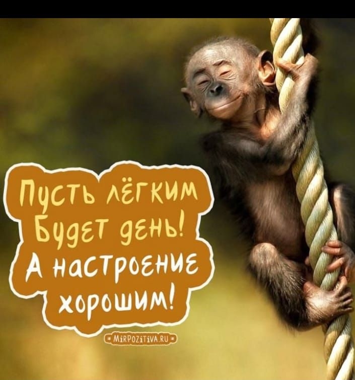 Пусть лёгким будет день! А настроение хорошим!