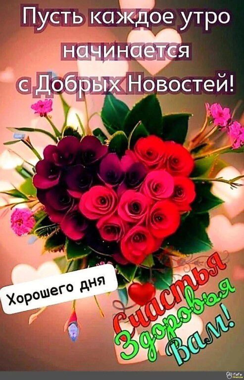 Пусть каждое утро начинается с Добрых Новостей!
Хорошего дня
Счастья, здоровья Вам!