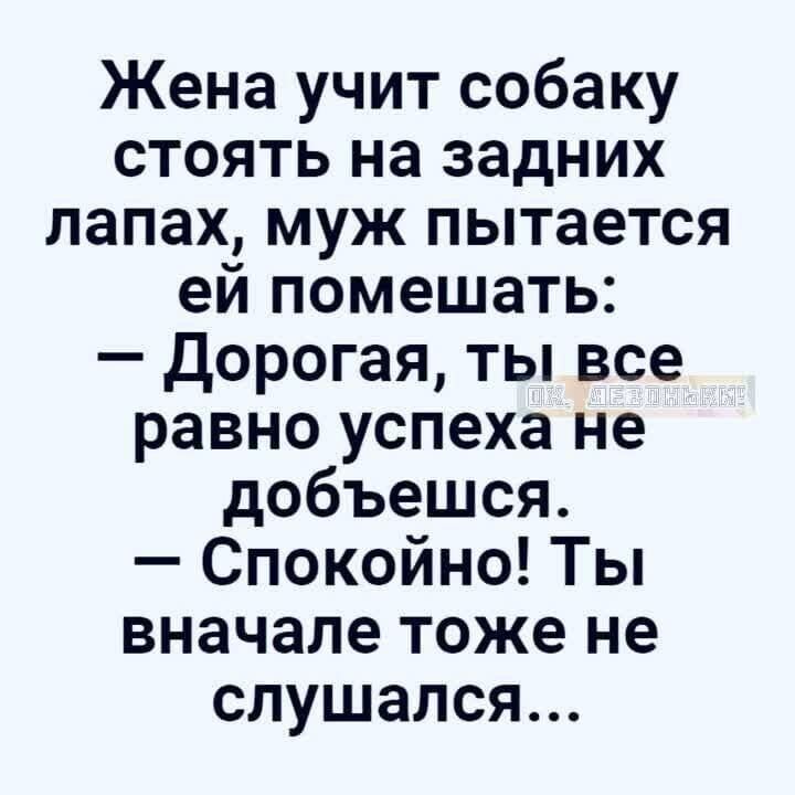 Жена учит собаку стоять на задних лапах, муж пытается ей помешать:
— Дорогая, ты все равно успеха не добьешься.
— Спокойно! Ты вначале тоже не слушался...