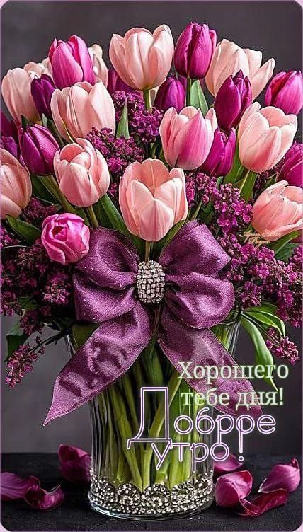 Хорошего тебе дня! Доброе утро!