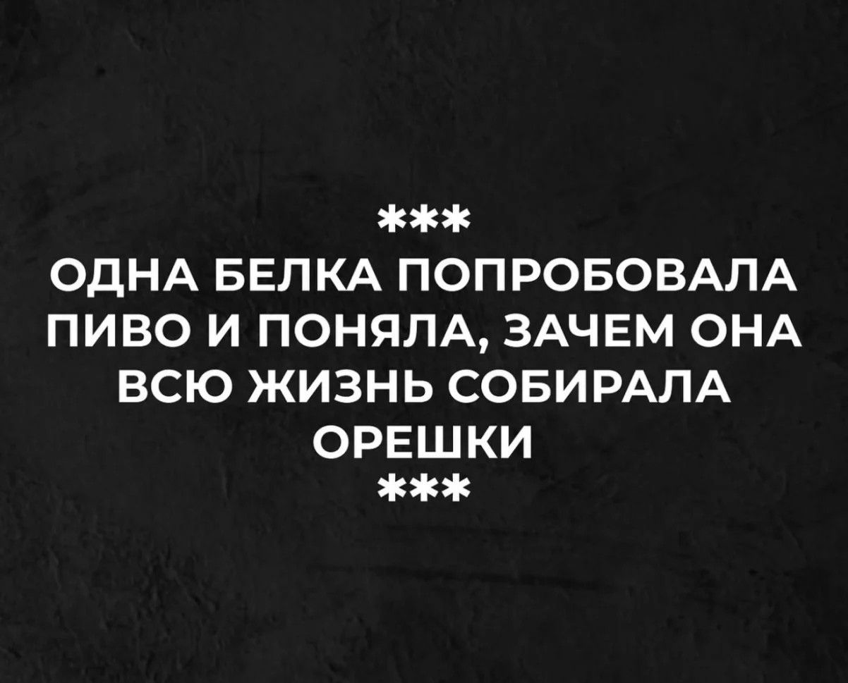 ОДНА БЕЛКА ПОПРОБОВАЛА ПИВО И ПОНИМАЛА, ЗАЧЕМ ОНА ВСЮ ЖИЗНЬ СИБИРАЛА ОРЕШКИ