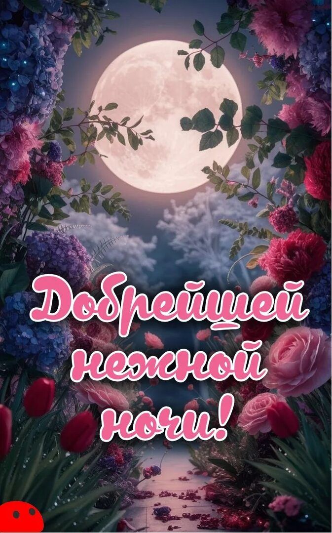 Добрейшей нежной ночи!